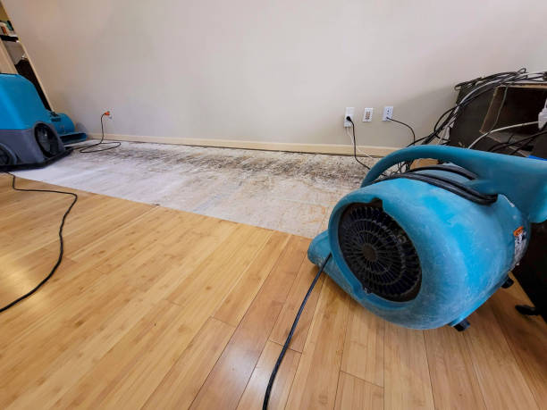 Professional Ceiling Water Damage Repair technician working in Cameron, MO